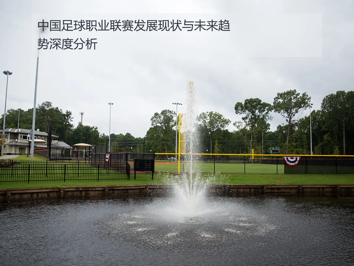 中国足球职业联赛发展现状与未来趋势深度分析