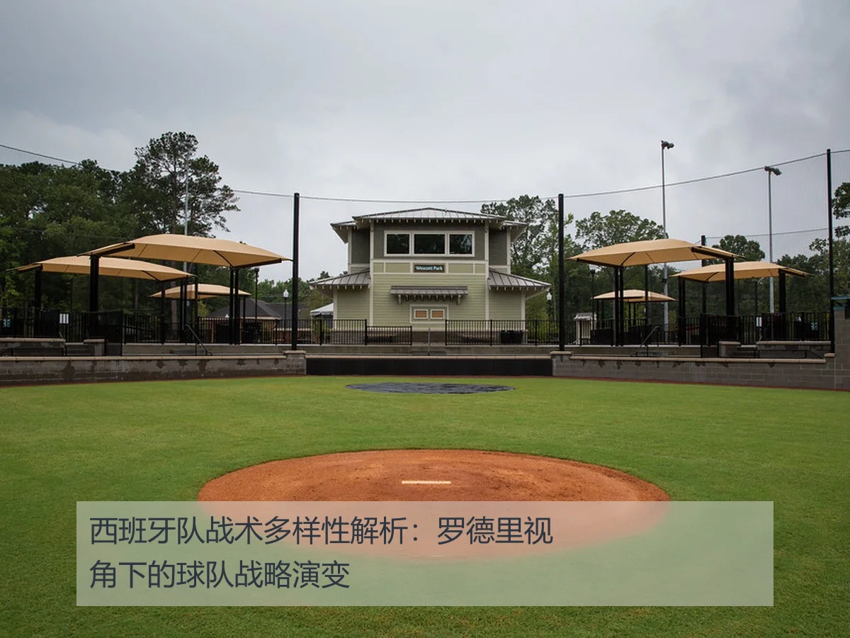 西班牙队战术多样性解析：罗德里视角下的球队战略演变